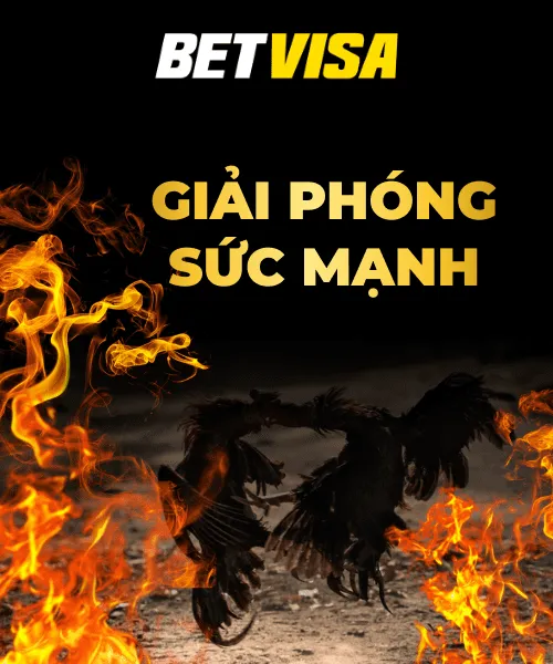 betvisa_sv388_sabong_banner_title